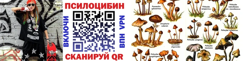 Галлюциногенные грибы GOLDEN TEACHER  наркотики  Шумиха 